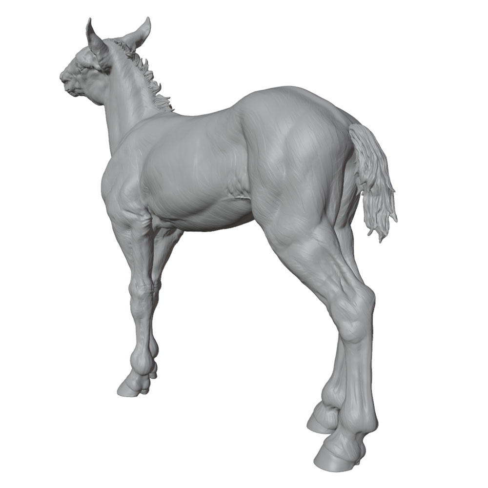 طباعة عالية التفاصيل، تمثال حص - مراجعة 3D Printing App وسعره